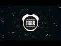ريمكس لويجي 74 توبه DJ TIGER ريمكس لويجي 74 توبه DJ TIGER