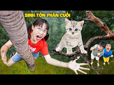 Hà Sam Sinh Tồn Gặp Mèo Con Hoang Trong Rừng Sâu – Thử Thách Sinh Tồn Tập Cuối