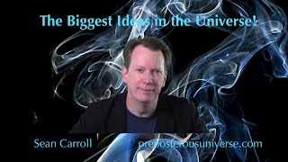 The Biggest Ideas in the Universe | Q&A 20  Entropy and Information