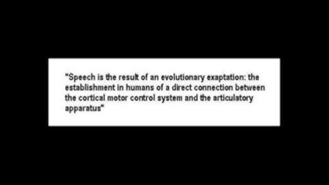 HOW LANGUAGE EVOLVED AND FUNCTIONS