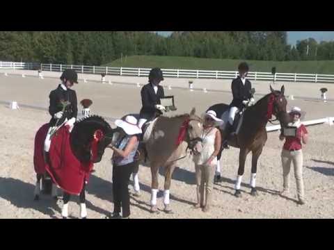 Video: Kirgiz Arklių Veislė Hipoalerginė, Sveikatos Ir Gyvenimo Trukmė