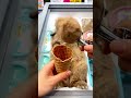 The Sweetest Little Fluff Ball! (So Smol)8 #IceCream #น่ารัก #สัตว์เลี้ยงtiktok#CuteBunn