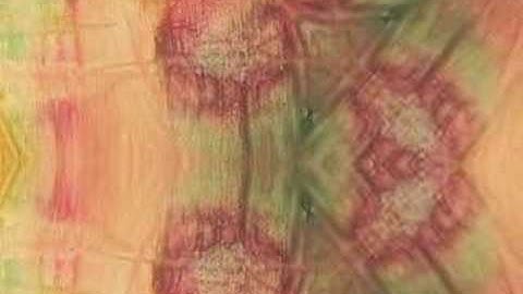 Brian Ellis - Para Ti (music video)