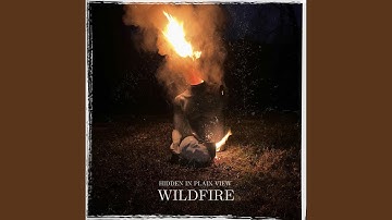 Wildfire