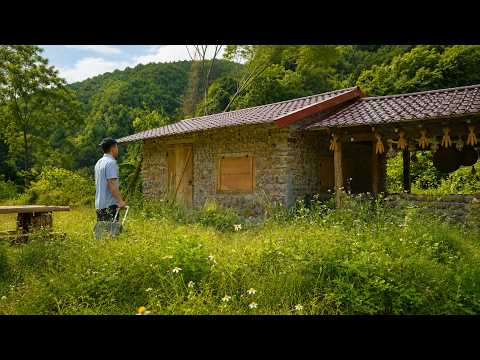 After 45 Days Away, I Returned to the Off-Grid Life I Built in the Forest.
