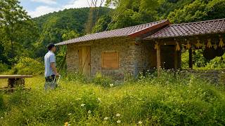 After 45 Days Away, I Returned to the Off-Grid Life I Built in the Forest.