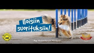 LAGUn 1. luokan iltakisat (18.6.2019)