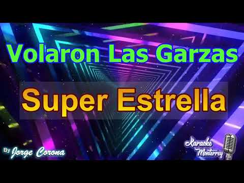 Karaoke Monterrey - Super Estrella - Volaron las Garzas