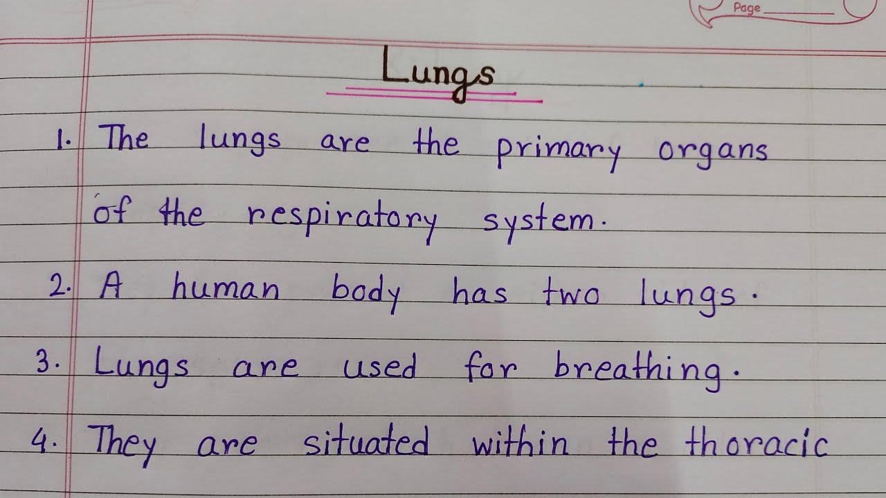 introduction to respiratory system essay