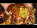 Souvenir nugget of natural Baltic amber. Сувенирный самородок натурального Балтийского янтаря.