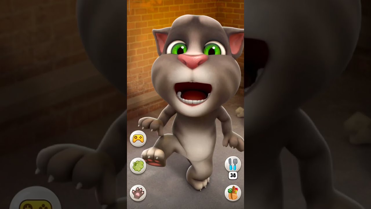 Talking Tom Cat Shorts Funny