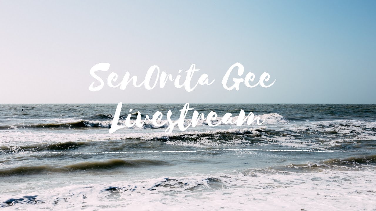 LET'S GO TO THE BEACH || 1 HOUR LIVESTREAM - YouTube