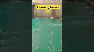 Learning diving today #leishaunplugged #trending #swimming #summer