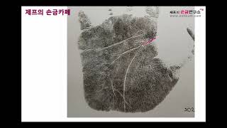 [제프의손금카페] 내 손금 좀 봐주세요~(2021년7월 둘째주)