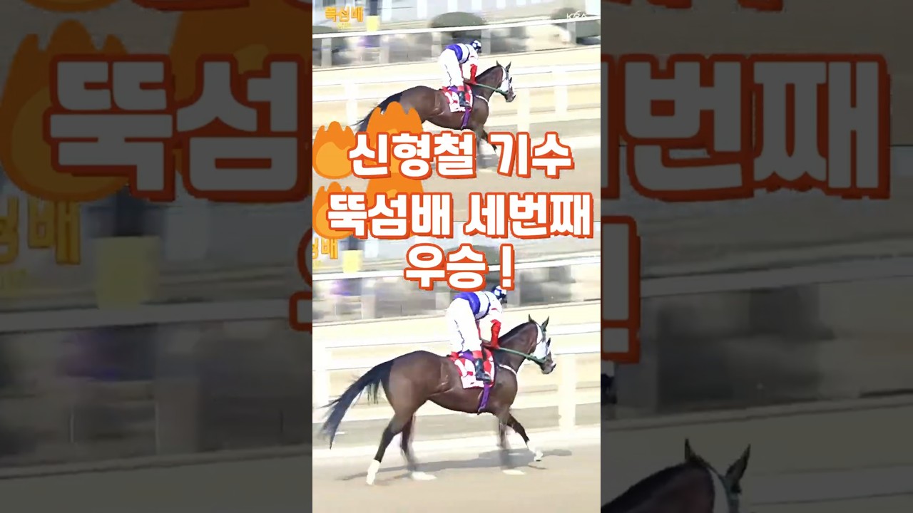 💕신형철 기수🐎'08年 뚝섬배★남촌의지존🐎박대흥 조교사💥남승현 마주💥명마💥명승부🎈다크호스명승부⚡경마예상⚡경마방송🐎경마예상방송💕경마실시간🏐경마정보🐎토요경마 🐎다크호스경마💕경마