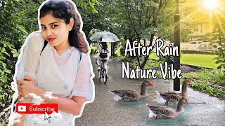 After Rain Nature Vibe | Relaxation | Nature Vlog | Summer Rain in Japan