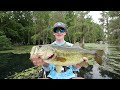 Fishing A SECRET Lagoon FULL Of Double Digit Bass!