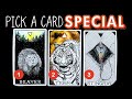 What would i tell you in a personal readingpick a card 