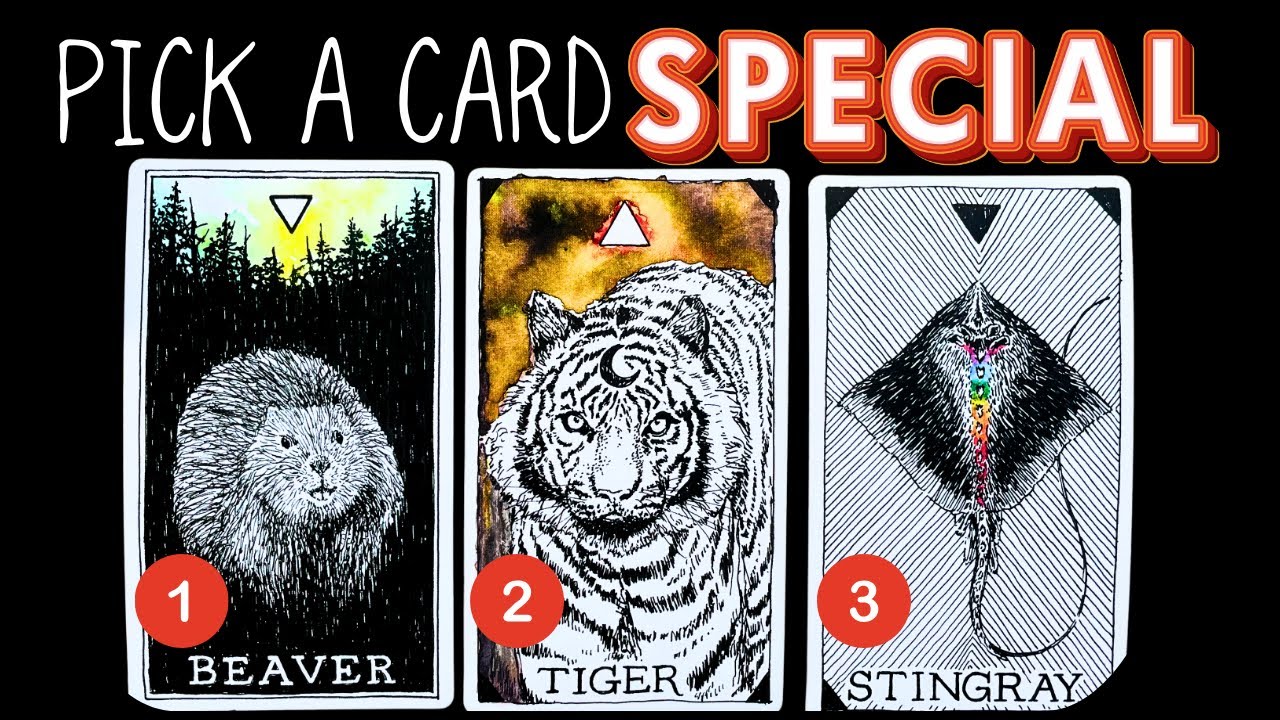 What Would I Tell You In A PERSONAL Reading?✨🔮🃏🌟✨pick a card reading 🃏 tarot card reading