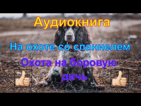 "На охоте со спаниелем" Валов Н.А. "Охота со спаниелем на боровую дичь"