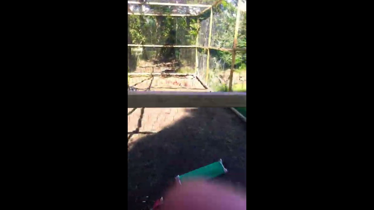 Morgon blogg om mitt hem - YouTube