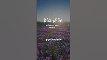🔥 "إن الأبرار لفي نعيم" بصوت يهز القلوب ❤️ تلاوة خاشعة من الشيخ المنشاوي