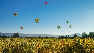 Napa Valley Hot Air Balloon Ride with Sparkling Wine