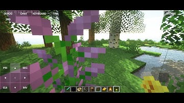 testing seus ptgi  e12 shader on mobile | pojavalauncher