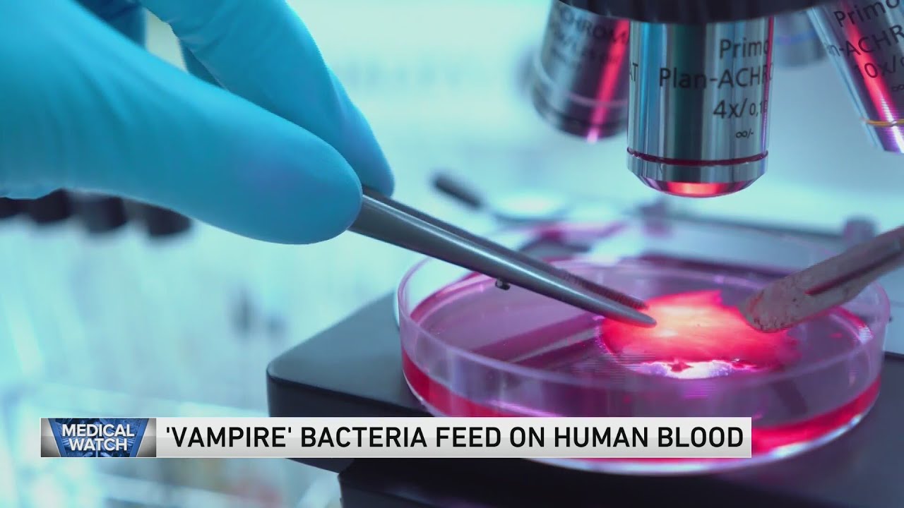 Concern over 'Vampire Bacteria' — and more