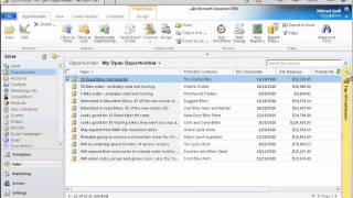Demo: Personalizing Microsoft Dynamics CRM 2011