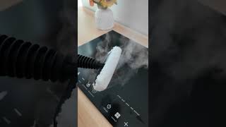 Since I got a steam cleaner, cleaning has become so much easier.