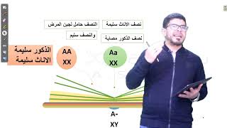 الصفات المتأثرة بالجنس أولى ثانوي