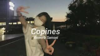 Copines [ Slowed x Reverb ]