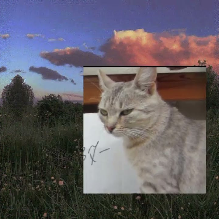 Типичная децкая площадка.#Анукадавайка#Меджикпец#хочуврек - YouTube