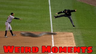 MLB | Weird Odds 3