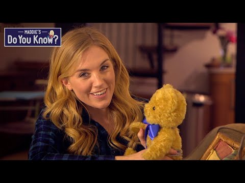 Video: The process of making a stuffed bear