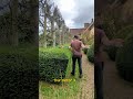 Satisfying Gardening Work🌳#garden #satisfying #cleaning #grass #lawn #viral #fyp #trending #787
