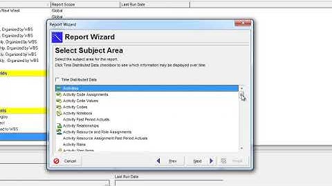 How to create a new report in Primavera P6
