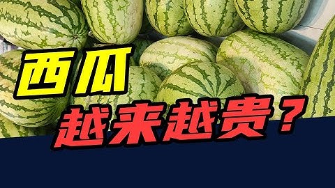从5元一个到5元一斤！西瓜，为什么越来越贵？