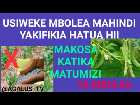 Video: Mbolea ya Mbolea ya Nguruwe - Taarifa Kuhusu Kutumia Mbolea ya Nguruwe Bustani