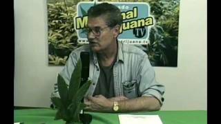 MedicinalMarijuana.TV - 4/1/2010 - Segment 6