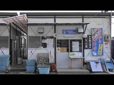 2019 宮城県松島町 松島観光協会 「カキ小屋」 4K版