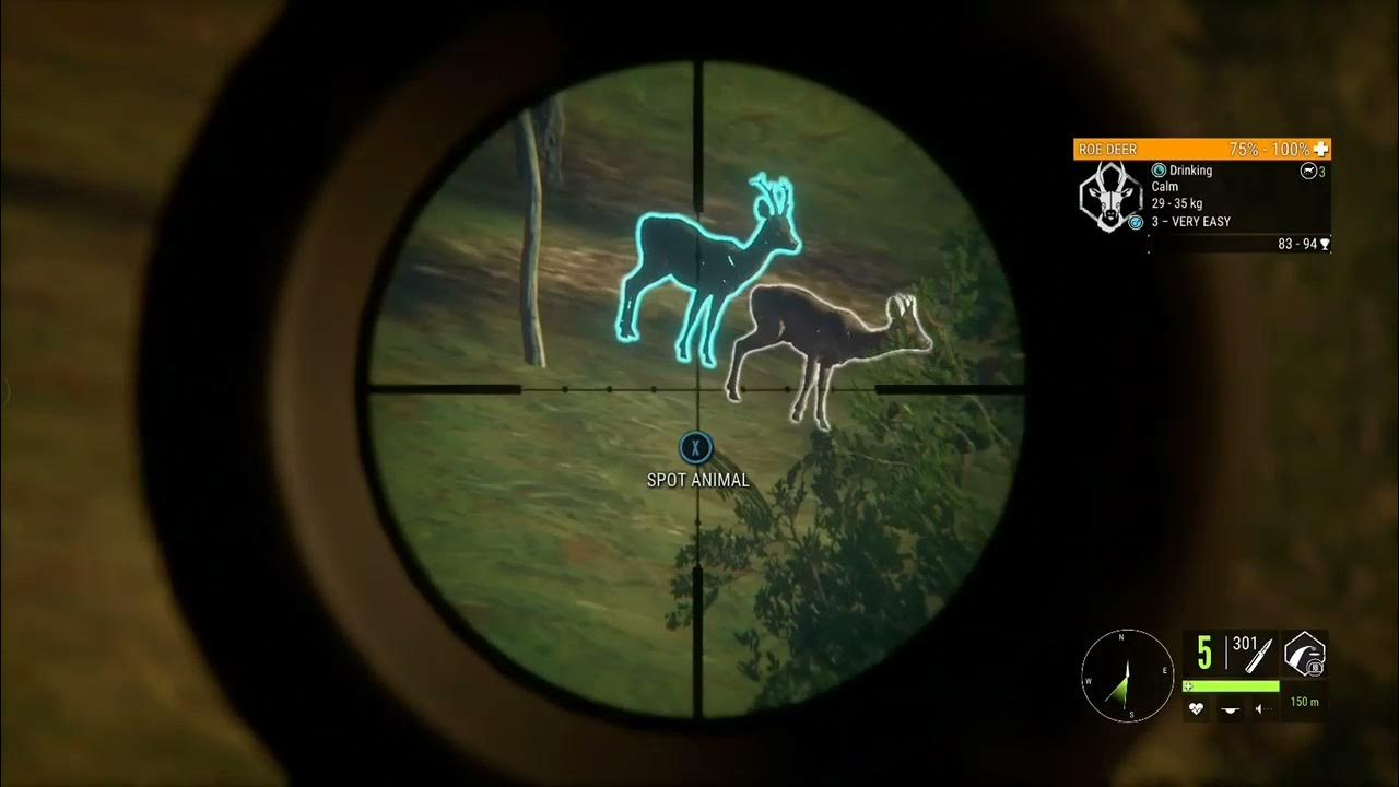 Triple Diamond Roe Deer???!?!?! The Hunter COTW YouTube