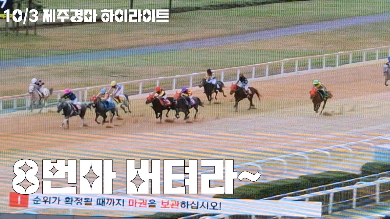 왠종일 한판도 못마추다가 이거하나 마차봅니다!(제주경마 하이라이트)
