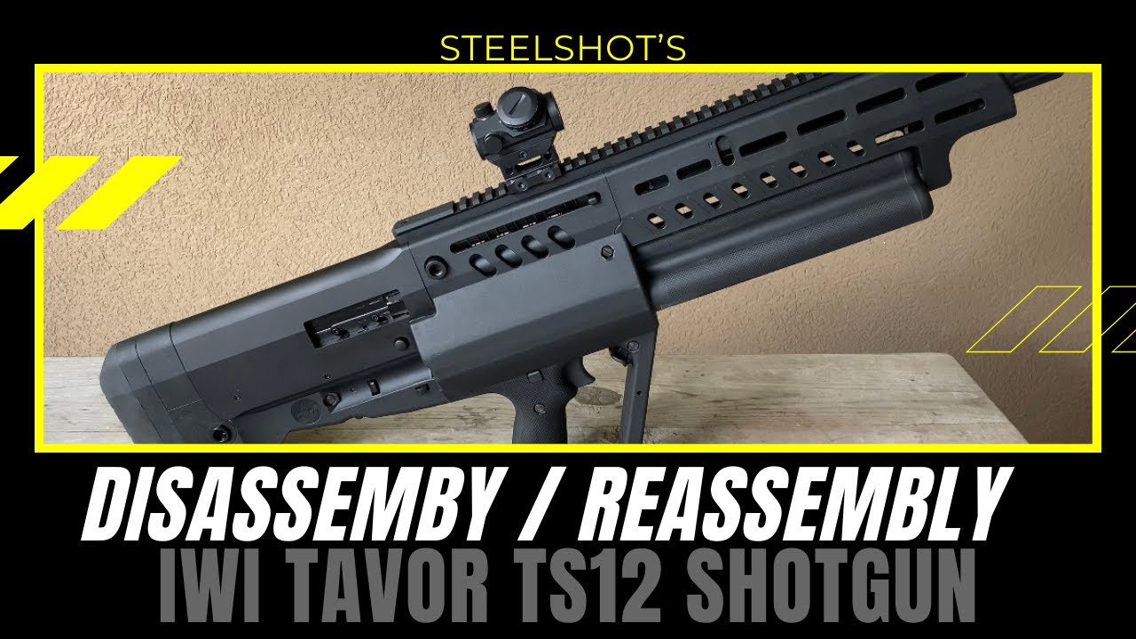 Tavor TS12 Complete Field Strip