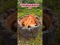 DIY Backyard Fire Pit Old Wheel Stones Project Shorts Gardening Garden Fire DIY Backyard Fire Pit Old Wheel Stones Project Shorts Gardening Garden Fire