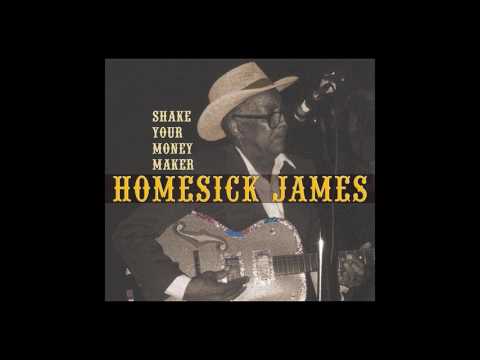 Shake Your Money Maker Video