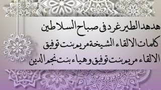 إلقاء شعري هدهد الطير غرد