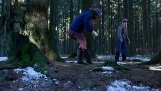 Grimm Новые Сказки Братьев Гримм