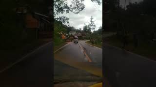 Katuoanku lan lisu Pala'Mi